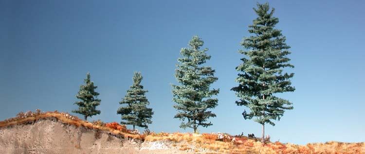 Tannennadel