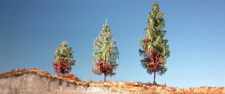 Weather larch