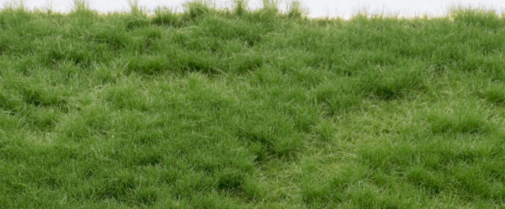 RTSGreenkeeper Grasflock & Grasmatten