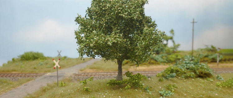 Cherry tree