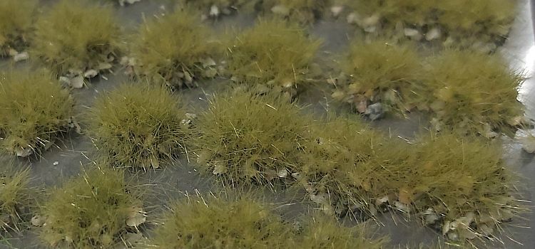 Tufts of grass on dark stones