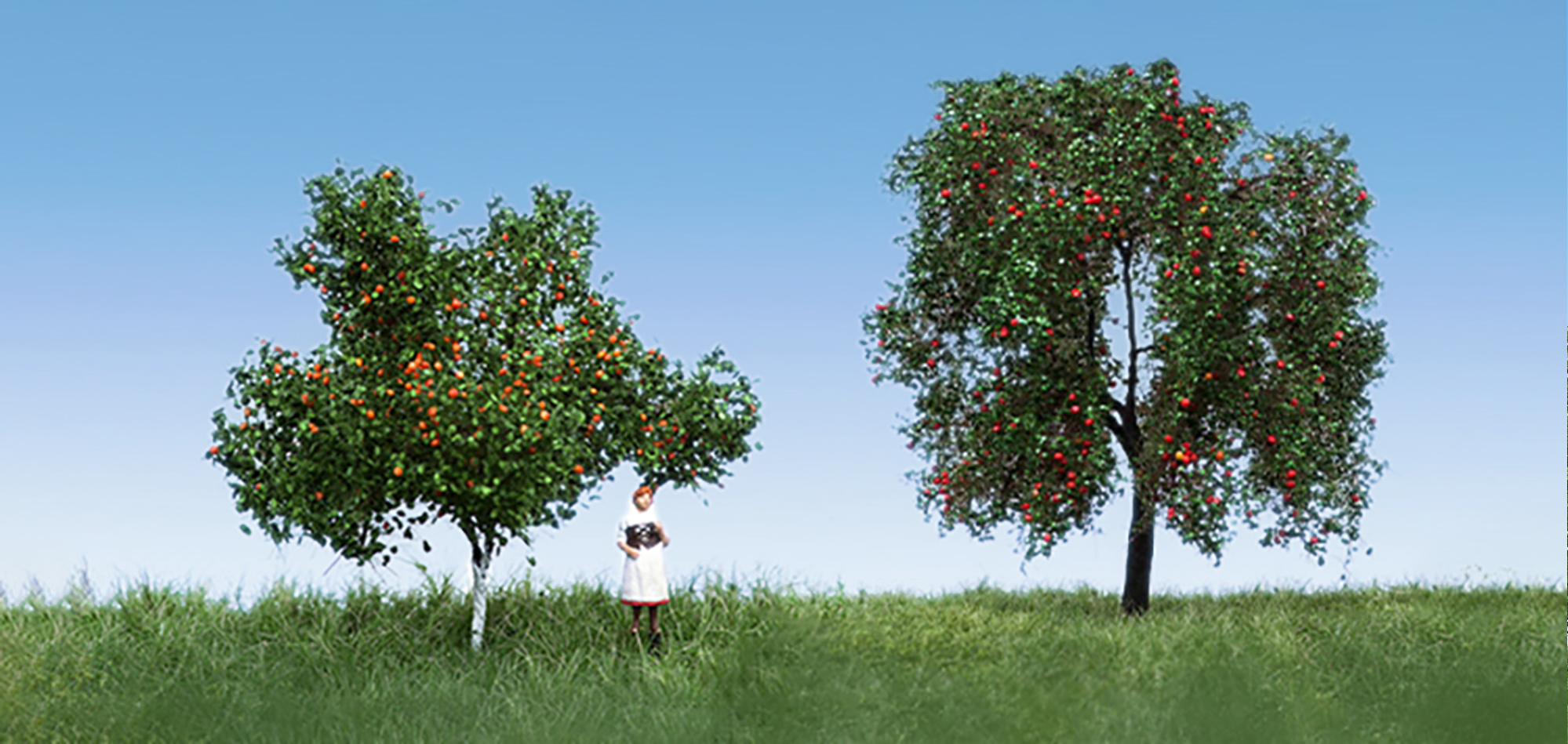 fruit trees