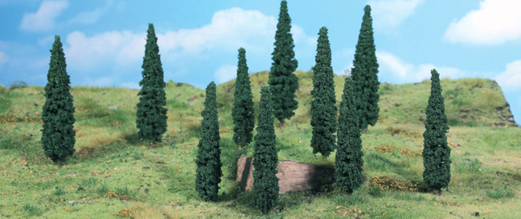 Cypress
