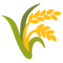 Ground vegetation category icon/image
