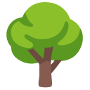 model trees category icon/image