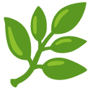 Filigranbüsche, Büsche, Sträucher category icon/image
