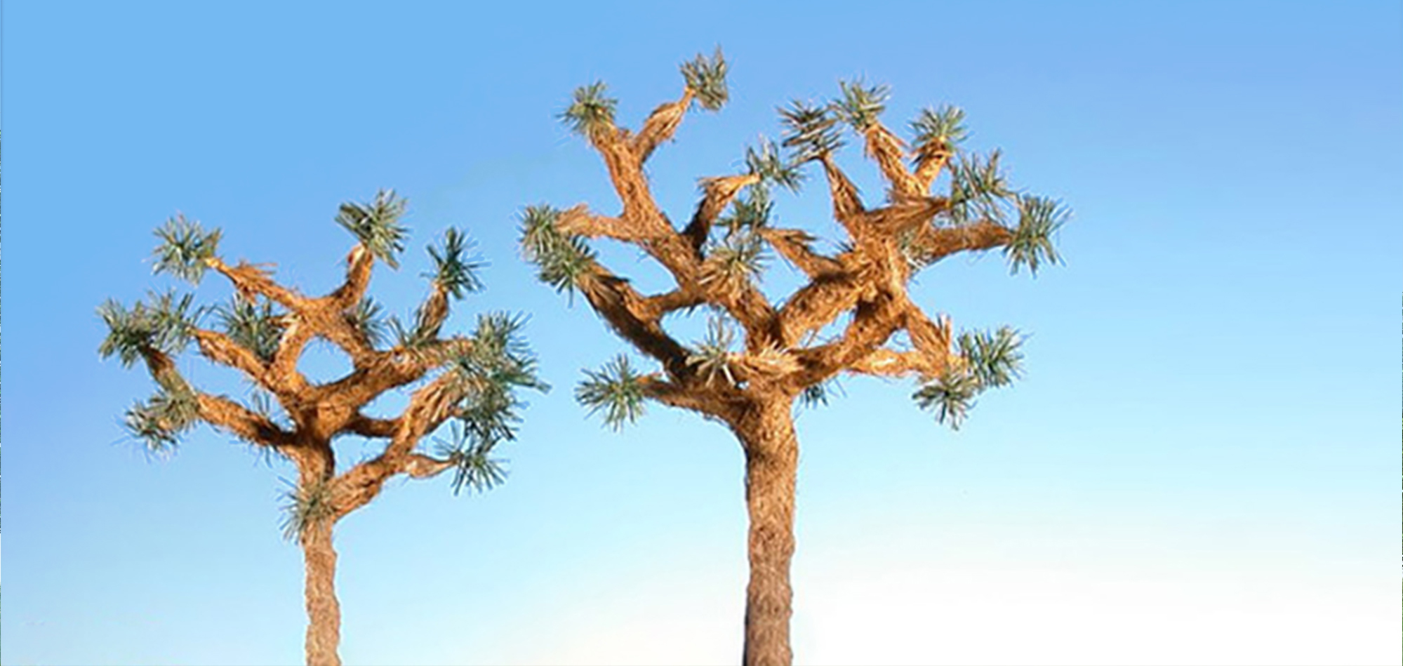 Mediterranean & Specials trees