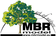 MBR Model