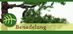 Benadelung