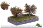 Preview: Apfelbaum MBR,  7 cm