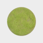 Preview: Grass flocking spring