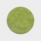 Preview: Grass flock spring