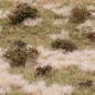 Preview: Grasmatte Wildwuchs Sommer