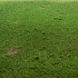 Preview: Grasmatte Viehweide