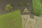 Preview: Dry Fern
