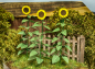Preview: Sonnenblumen