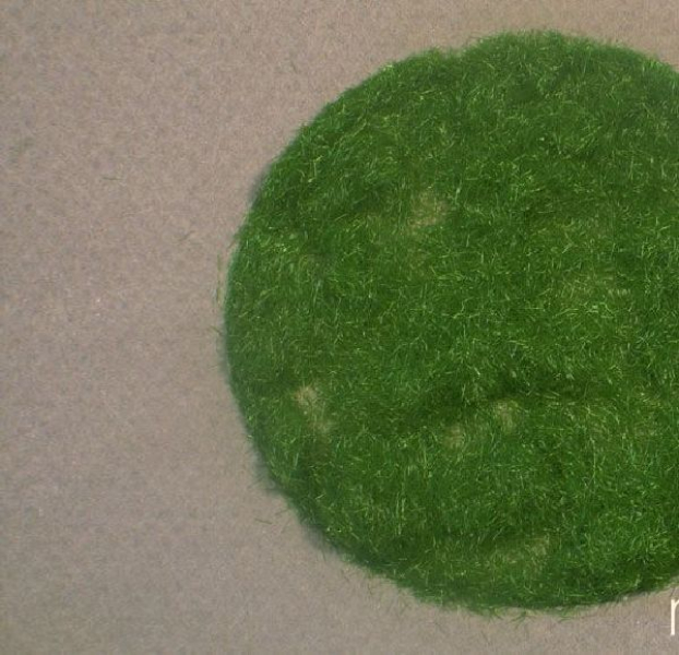 Gras-Flock 2mm Sommer