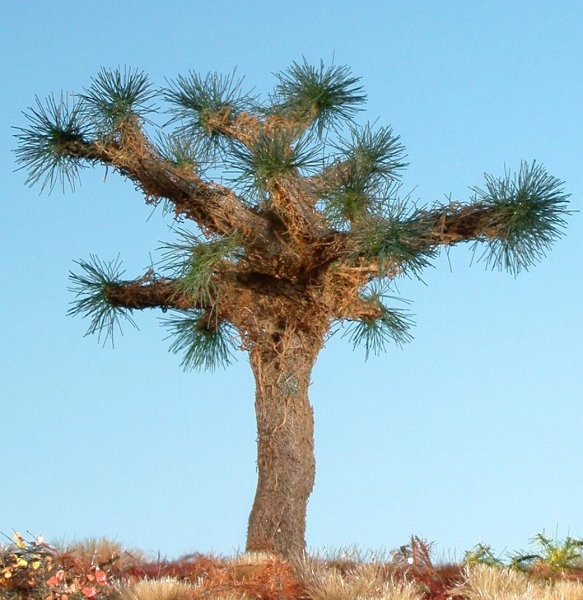 Joshua Tree Sommer Größe 0, 1:87