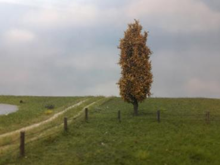 Late Fall