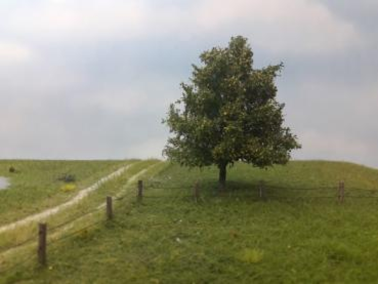 Frühherbst