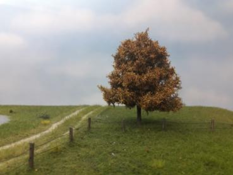 Late Fall