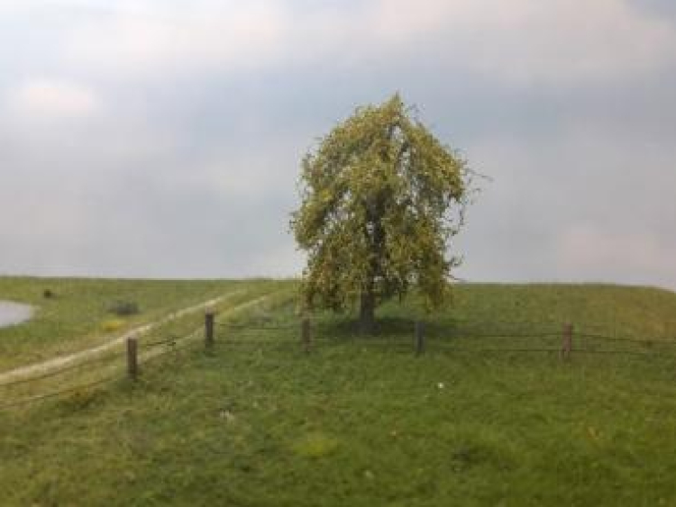 Frühling