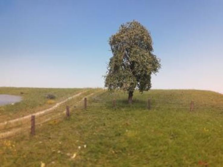 Trauerweide Profiline