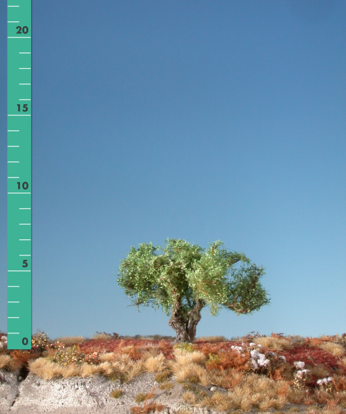 Willow stump (1:87) summer