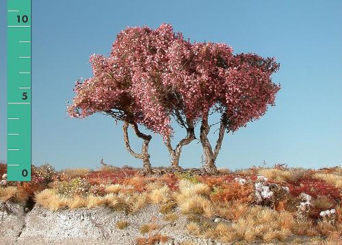High shrubs (1:45+) late fall