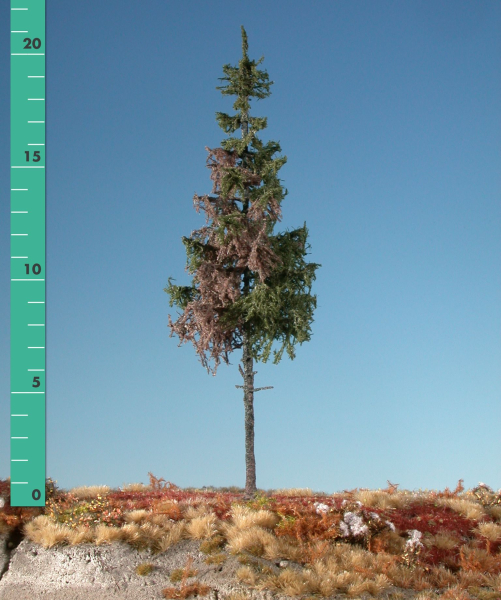 Weathered green spruce high trunk kit (1:87) summer
