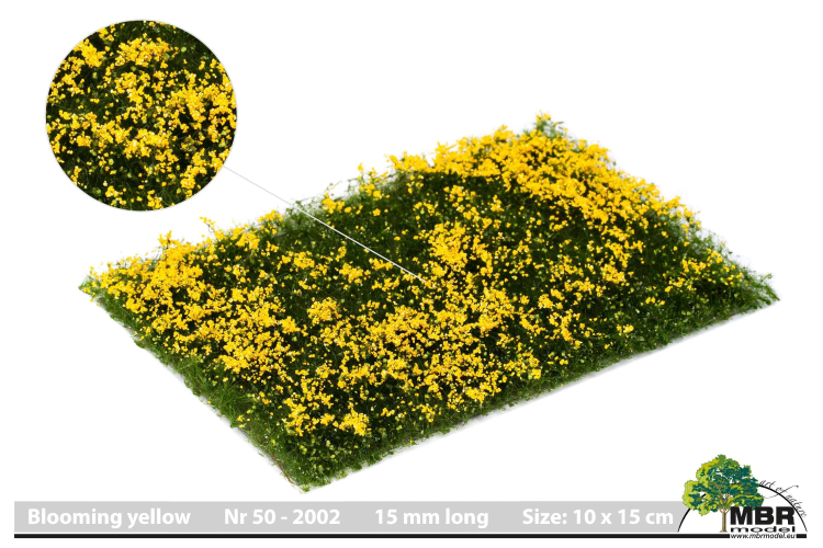 Blumen Gelb blühend