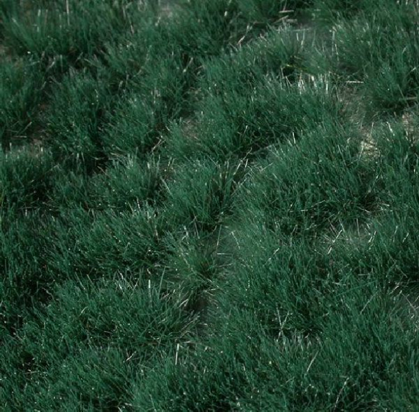 Reed grass tufts (1:87) summer