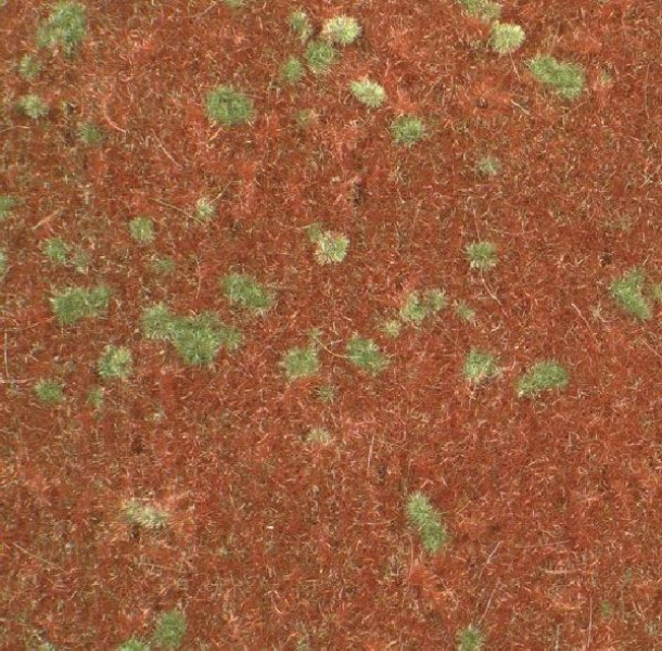 Forest groundcover (1:87) early fall