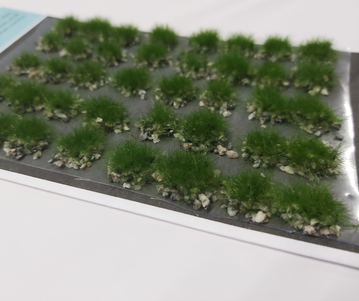 Tufts of grass on dark stones summer