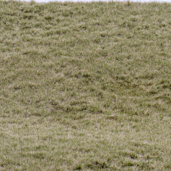mat early autumn