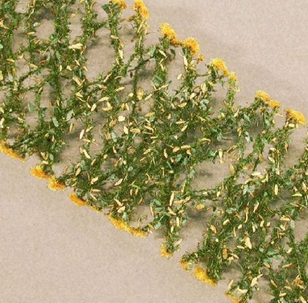 Goldenrod (1:87)  early fall