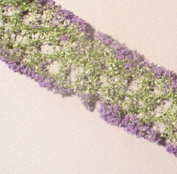 Flowers (1:87) violet