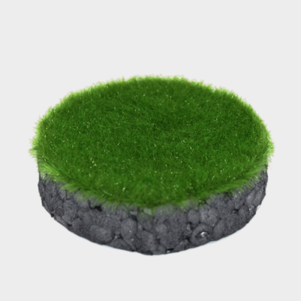 Grass flock – early summer