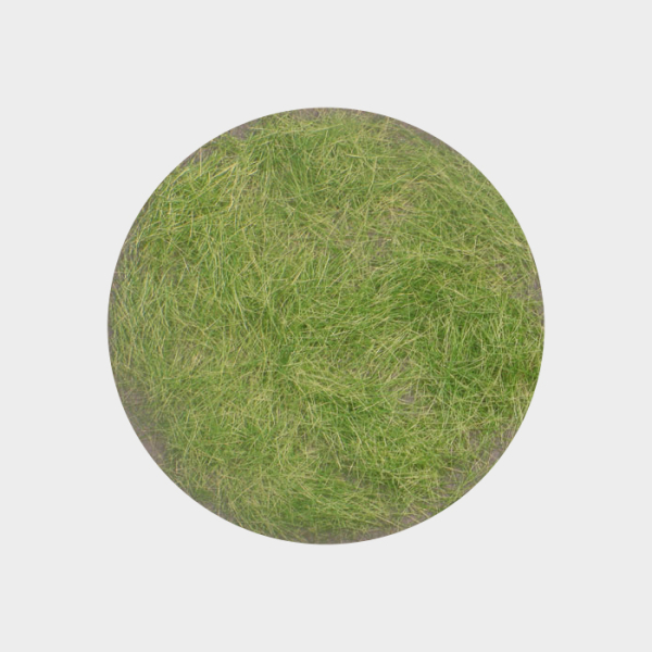 Gras-Flock Frühherbst