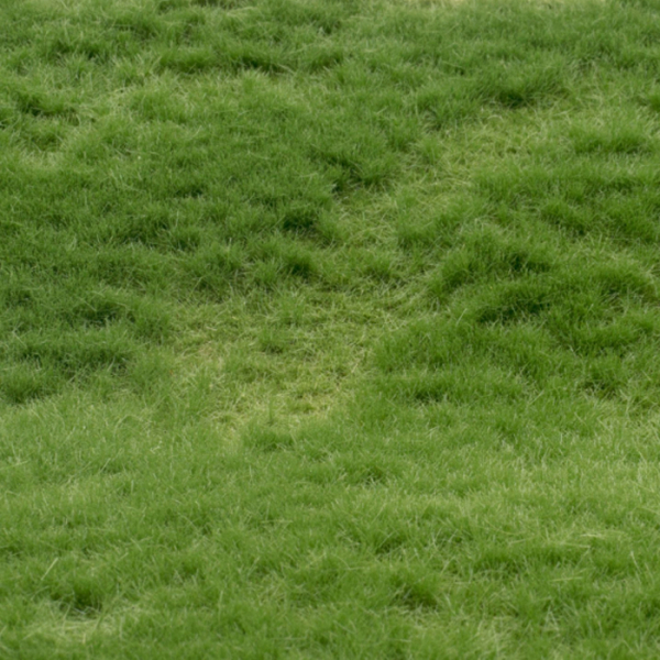 Grasmatte Sommer