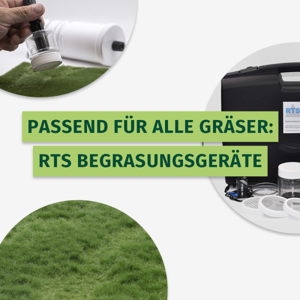 Grass flock – spring