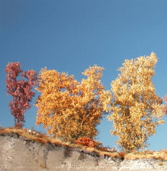 Filigree bush (1:160-220) late fall