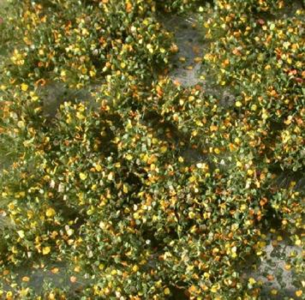 Weed tufts (1:87) early fall