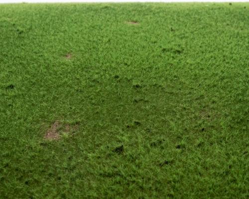 grass mat cattle pasture