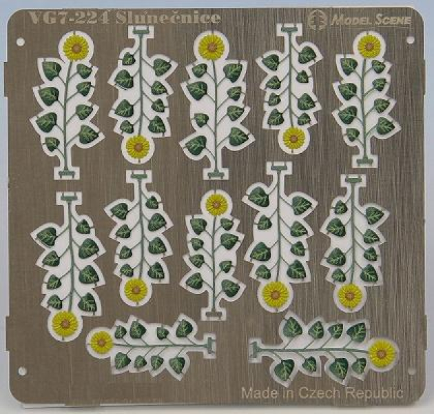Sonnenblumen