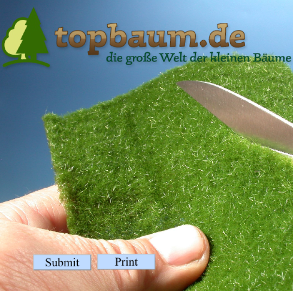 Wie baue ich mit Silhouette & miniNatur? Der Profitipp Bodenmatten