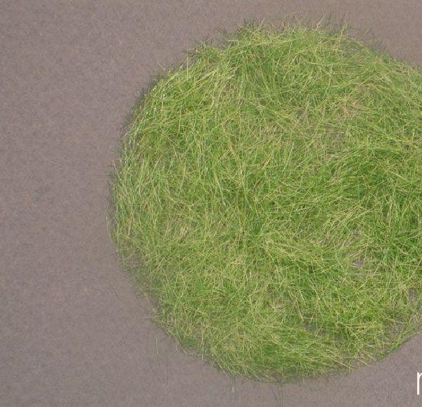 Grass flocking early fall