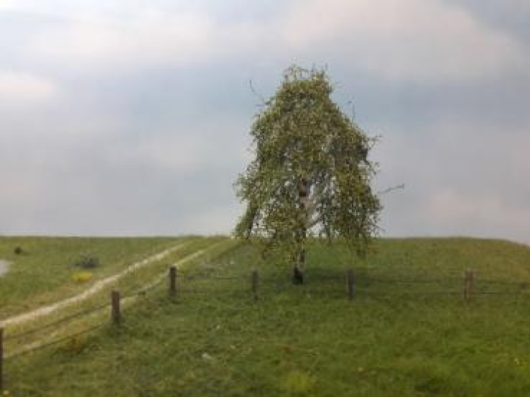 Spring