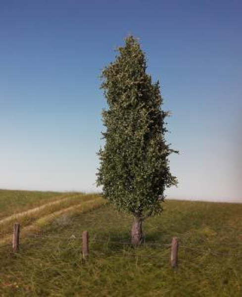 Poplar Profiline