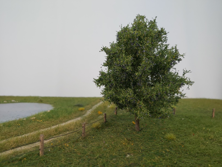 Plum tree Profiline